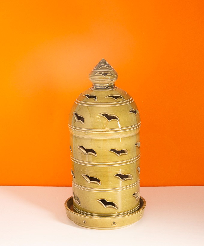 إنارة النورس